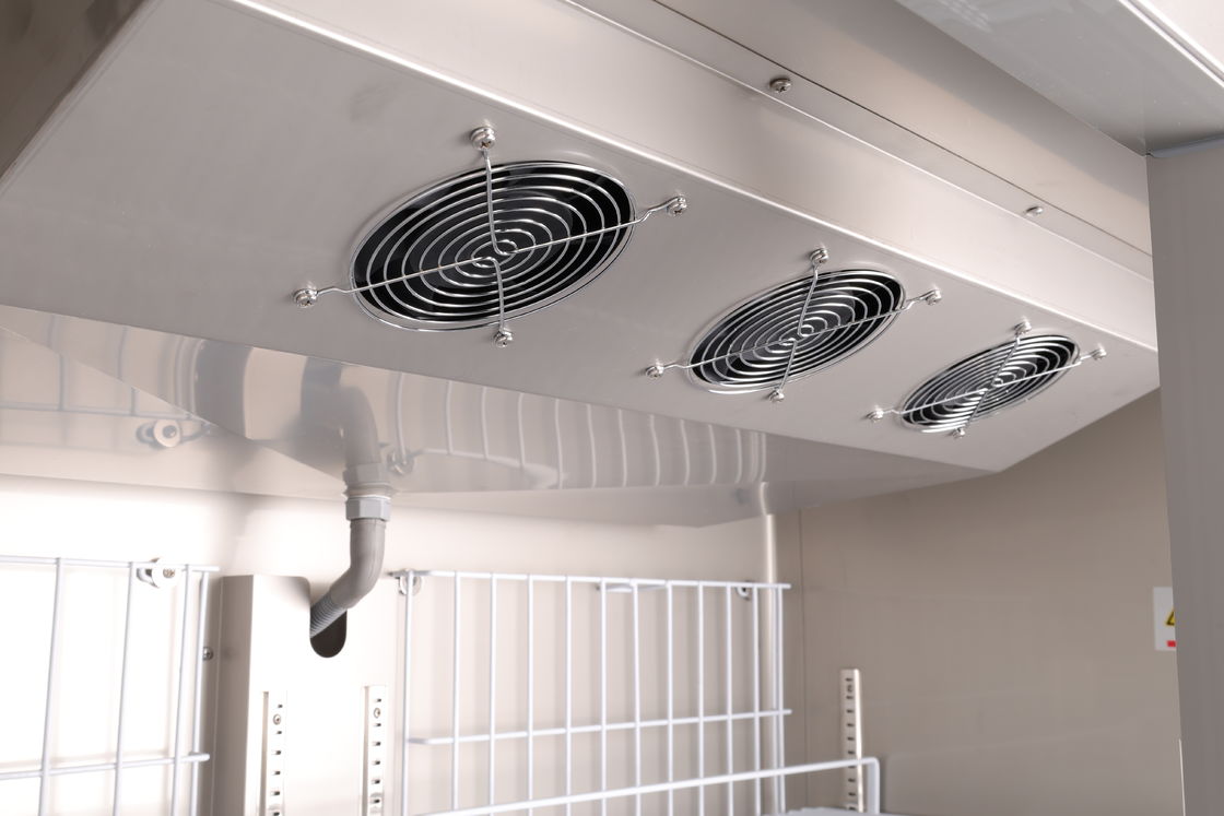 Congelatore a pozzetto con sbrinamento automatico Frigorifero commerciale Frigorifero verticale a 2 porte in acciaio inossidabile per hotel